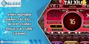 bl555 anh dai dien 1